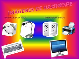 HARDWARE DE ENTRADA: HARDWARE DE SALIDA:
 