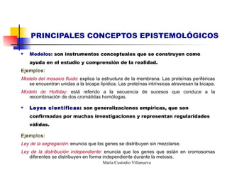 PRINCIPALES CONCEPTOS EPISTEMOLÓGICOS <ul><li>Modelos:  son instrumentos conceptuales que se construyen como ayuda en el e...