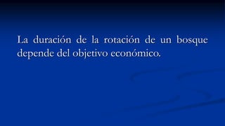 La duración de la rotación de un bosque
depende del objetivo económico.
 