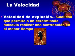 La Velocidad Velocidad de explosión .-  Cualidad que permite a un determinado músculo realizar una contracción en el menor tiempo 