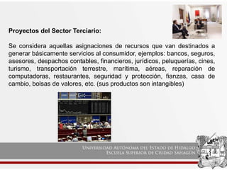 Proyectos del Sector Terciario:
Se considera aquellas asignaciones de recursos que van destinados a
generar básicamente servicios al consumidor, ejemplos: bancos, seguros,
asesores, despachos contables, financieros, jurídicos, peluquerías, cines,
turismo, transportación terrestre, marítima, aéreas, reparación de
computadoras, restaurantes, seguridad y protección, fianzas, casa de
cambio, bolsas de valores, etc. (sus productos son intangibles)
 