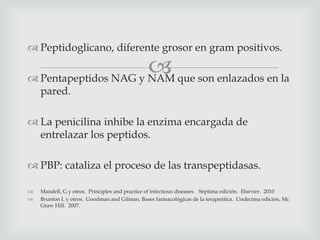 
 Peptidoglicano, diferente grosor en gram positivos.
 Pentapeptidos NAG y NAM que son enlazados en la
pared.
 La penicilina inhibe la enzima encargada de
entrelazar los peptidos.
 PBP: cataliza el proceso de las transpeptidasas.
 Mandell, G y otros. Principles and practice of infectious diseases. Séptima edición. Elsevier. 2010
 Brunton L y otros. Goodman and Gilman, Bases farmacológicas de la terapeútica. Undecima edición, Mc
Graw Hill. 2007.
 