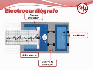 ElectrocardiógrafoSistema inscripciónAmplificadorGalvanómetroSistema de calibración