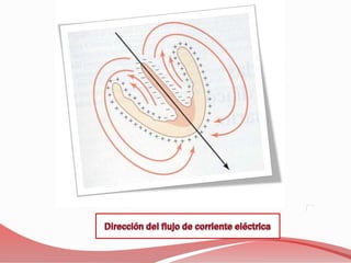 ME: sobre el apéndice xifoides
