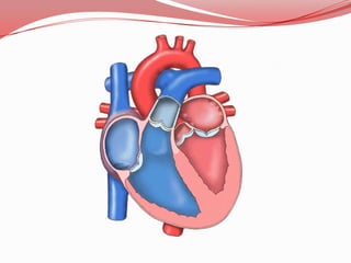 Onda TOnda URepolarización ventrículosPositiva en casi todas las derivacionesExcepto en:aVR, donde es negativaPositiva, de escaso voltaje