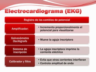 Electrocardiograma (EKG)