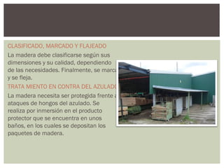 CLASIFICADO, MARCADO Y FLAJEADO
La madera debe clasificarse según sus
dimensiones y su calidad, dependiendo
de las necesidades. Finalmente, se marca
y se fleja.
TRATA MIENTO EN CONTRA DEL AZULADO
La madera necesita ser protegida frente a
ataques de hongos del azulado. Se
realiza por inmersión en el producto
protector que se encuentra en unos
baños, en los cuales se depositan los
paquetes de madera.
 