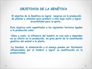 El objetivo de la Genética es lograr mejoras en la producción
de plantas y animales para producir a más bajo costo y lograr
accesibilidad para la gente.
Esto objetico esta supeditados a los siguientes factores ligados
a la producción como:
•Clima y suelo, la influencia del hombre es casi nula y dependen
en su efecto en la producción, en gran parte de la constitución
genética del animal o la planta.
•La Sanidad, la alimentación y el manejo pueden ser fácilmente
influenciables por el hombre y lograr su modificación en la
productividad.
OBJETIVOS DE LA GENÉTICA
 