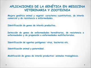 Mejora genética animal y vegetal: caracteres cuantitativos, de interés
comercial y de resistencia a enfermedades.
Identificación de genes de interés productivo.
Detección de genes de enfermedades hereditarias, de resistencia a
enfermedades y de propensión a enfermedades multifactoriales.
Identificación de agentes patógenos: virus, bacterias etc.
Identificación animal y paternidad.
Modificación de genes de interés productivo: animales transgénicos.
APLICACIONES DE LA GENÉTICA EN MEDICINA
VETERINARIA Y ZOOTECNIA
 