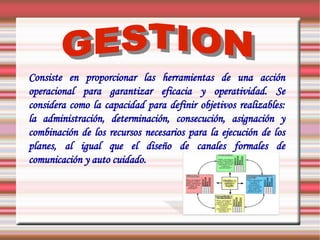 Consiste en proporcionar las herramientas de una acción
operacional para garantizar eficacia y operatividad. Se
considera como la capacidad para definir objetivos realizables:
la administración, determinación, consecución, asignación y
combinación de los recursos necesarios para la ejecución de los
planes, al igual que el diseño de canales formales de
comunicación y auto cuidado.
 