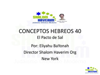 CONCEPTOS HEBREOS 40
El Pacto de Sal
Por: Eliyahu BaYonah
Director Shalom Haverim Org
New York
 