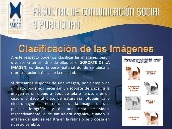 Conceptos Básicos de la Imagen