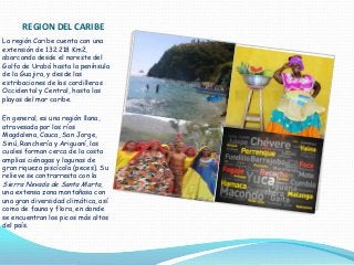 REGION DEL CARIBE
La región Caribe cuenta con una
extensión de 132.218 Km2,
abarcando desde el noreste del
Golfo de Urabá ...