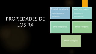 CONCEPTOS PRINCIPALES DE RX.pptx