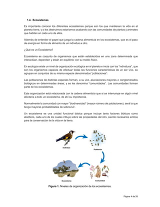 Página 4 de 26
1.4. Ecosistemas
Es importante conocer los diferentes ecosistemas porque son los que mantienen la vida en el
planeta tierra, y si los destruimos estaríamos acabando con las comunidades de plantas y animales
que habitan en cada uno de ellos.
Además de entender el papel que juega la cadena alimenticia en los ecosistemas, que es el paso
de energía en forma de alimento de un individuo a otro.
¿Qué es un Ecosistema?
Ecosistema es conjunto de organismos que están establecidos en una zona determinada que
interactúan, dependen y están en equilibrio con su medio físico.
En ecología existe un nivel de organización ecológica en el planeta e inicia con los “individuos”, que
son los organismos capaces de efectuar todas las funciones características de un ser vivo, se
agrupan en conjuntos de su misma especie denominados “poblaciones”.
Las poblaciones de distintas especies forman, a su vez, asociaciones mayores o conglomerados
biológicos en determinadas áreas; y se les denomina “comunidades”. Las comunidades forman
parte de los ecosistemas.
Esta organización está relacionada con la cadena alimenticia que si se interrumpe en algún nivel
afectaría a todo un ecosistema, de ahí su importancia.
Normalmente la comunidad con mayor “biodiversidad” (mayor número de poblaciones), será la que
tenga mayores probabilidades de sobrevivir.
Un ecosistema es una unidad funcional básica porque incluye tanto factores bióticos como
abióticos, cada uno de los cuales influye sobre las propiedades del otro, siendo necesarios ambos
para la conservación de la vida en la tierra.
Figura 1. Niveles de organización de los ecosistemas.
 