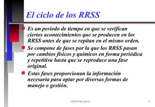 Circulo De Rrss conceptos basicos de residuos solidos.ppt