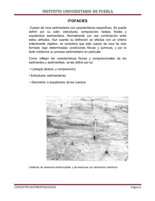 INSTITUTO UNIVERSITARIO DE PUEBLA
CONCEPTOS SEDIMENTOLOGICOS Página 6
ITOFACIES
Cuerpo de roca sedimentaria con características específicas. Se puede
definir por su color, estructuras, composición, textura, fósiles y
arquitectura sedimentaria. Normalmente por una combinación entre
estos atributos. Aun cuando su definición se efectúa con un criterio
enteramente objetivo, se considera que este cuerpo de roca ha sido
formado bajo determinadas condiciones físicas y químicas, y por lo
tanto evidencia un proceso sedimentario en particular.
Como reflejan las características físicas y composicionales de los
sedimentos y sedimentitas, se las define por su:
• Litología (textura y composición)
• Estructuras sedimentarias
• Geometría o arquitectura de los cuerpos
Litofacies de areniscas entrecruzadas y de areniscas con laminación ondulítica
 