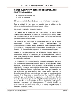 INSTITUTO UNIVERSITARIO DE PUEBLA
CONCEPTOS SEDIMENTOLOGICOS Página 7
METODOLOGÍAPARA DEFINICIÓN DE LITOFACIES
OBSERVACIONALES
 selección de los atributos
 nivel de precisión
El nivel de precisión depende de una serie de factores, por ejemplo:
Tipo y calidad de las rocas en estudio, tipo y calidad de los
afloramientos tiempo disponible objetivos del trabajo.
Iconología e Icnofacies principios básicos
La icnología es el estudio de las trazas fósiles. Las trazas fósiles
generalmente muestran la actividad de organismos de cuerpo blando
que no dejan restos de sus partes corporales. Estos organismos son el
grupo dominante de la biomasa.
Se clasifican en estructuras de bioturbación (ruptura de la fábrica
sedimentaria original: huellas, pistas, excavaciones), de
bioestratificación (creadas por los organismos como los tapetes algales
o microbianos), de biodepositación (productos de bioerosión y restos
fecales) y de bioerosión (perforaciones en sustratos consolidados).
Reflejan el comportamiento de los organismos (reposo, locomoción,
alimentación, escape, etc.) y facilitan las comparaciones paleocológicas
entre rocas de distinta edad. No suelen ser de utilidad para determinar
la edad de los depósitos.
Los organismos productores de trazas fósiles son sensibles a la energía
del ambiente (en especial en medios ácueos), a la coherencia de los
sustratos y a parámetros ecológicos tales como salinidad, niveles de
oxigenación, ritmos de sedimentación, temperatura y disponibilidad de
nutrientes. Las condiciones ecológicas están a su vez vinculadas con
los ambientes de acumulación. Las trazas suelen aparecer en
determinados ambientes sedimentarios. Las trazas se pueden preservar
a pesar de la diagénesis de los sedimentos. Una traza fósil puede ser
producida por un único tipo de organismo, pero también por distintos
tipos de organismos que tienen comportamientos semejantes, lo que
puede dificultar su interpretación. Un mismo organismo puede generar
diferentes estructuras que corresponderán a distintos estados de
comportamiento en un mismo sustrato, o al mismo comportamiento en
diferentes tipos de sustratos.
 