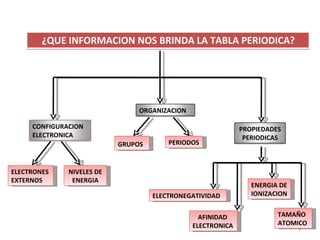 ¿QUE INFORMACION NOS BRINDA LA TABLA PERIODICA? ELECTRONES EXTERNOS NIVELES DE ENERGIA GRUPOS   PERIODOS ELECTRONEGATIVIDAD AFINIDAD  ELECTRONICA ENERGIA DE IONIZACION TAMAÑO ATOMICO CONFIGURACION ELECTRONICA ORGANIZACION PROPIEDADES PERIODICAS 
