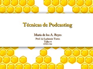 Técnicas de PodcastingTécnicas de Podcasting
María de los A. ReyesMaría de los A. Reyes
Taller 4Taller 4
ETEG 504ETEG 504
Prof. (a) Laylannie TorresProf. (a) Laylannie Torres
 