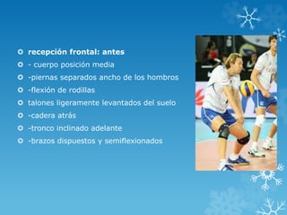  recepción frontal: antes
 - cuerpo posición media
 -piernas separados ancho de los hombros
 -flexión de rodillas
 talones ligeramente levantados del suelo
 -cadera atrás
 -tronco inclinado adelante
 -brazos dispuestos y semiflexionados
 