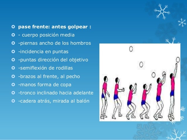 Conceptos tecnicos voleibol