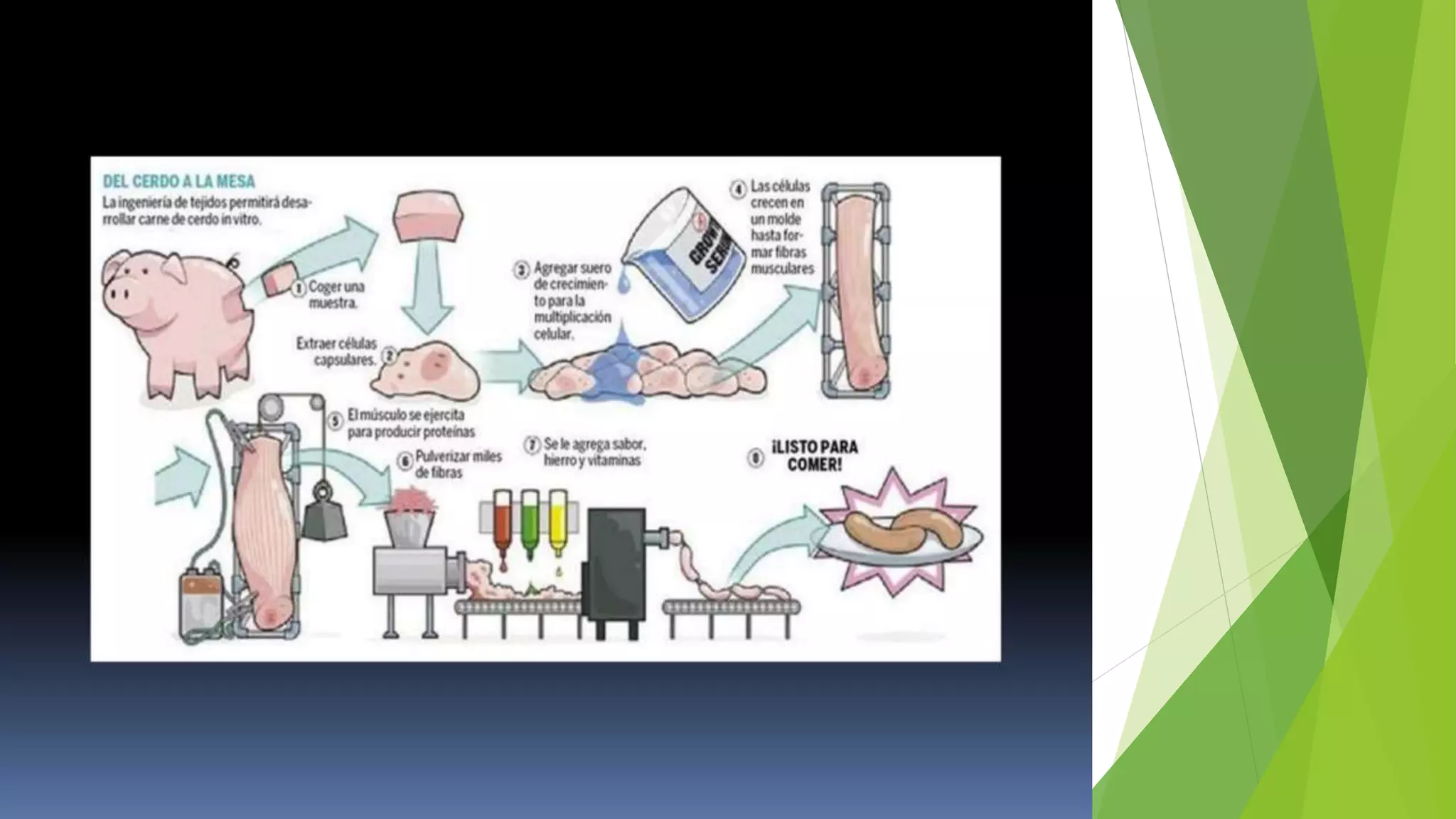 Conceptos tecnologicos 1