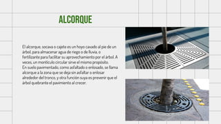 alcorque
El alcorque, socava o cajete es un hoyo cavado al pie de un
árbol, para almacenar agua de riego o de lluvia, o
fertilizante para facilitar su aprovechamiento por el árbol. A
veces, un montículo circular sirve el mismo propósito.
En suelo pavimentado, como asfaltado o enlosado, se llama
alcorque a la zona que se deja sin asfaltar o enlosar
alrededor del tronco, y otra función suya es prevenir que el
árbol quebrante el pavimiento al crecer.
 