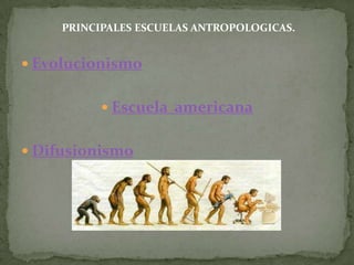 PRINCIPALES ESCUELAS ANTROPOLOGICAS.EvolucionismoEscuela  americanaDifusionismo