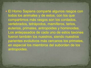 El Homo Sapiens comparte algunos rasgos con todos los animales y de estos, con los que compartimos más rasgos son los cordados, vertebrados, tetrápodos, mamíferos, terios, euterios, primates, antropoides y hominoides. Los antepasados de cada uno de estos taxones fueron también los nuestros, siendo nuestros parientes evolutivos más cercanos los primates, en especial los miembros del suborden de los antropoides.