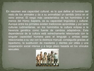 En resumen esa capacidad cultural, es lo que define al hombre del resto de los animales y da a su animalidad un sentido único en el reino animal. El rasgo más característico de los homínidos o al menos del Homo Sapiens, es su capacidad lingüística y cultural. Aunque entre los primates existen tradiciones aprendidas y por tanto culturas rudimentarias, en los homínidos la cultura eclipsa a la herencia genética como fuente de cambios adaptativos. Esta dependencia de la cultura está estrechamente relacionada con la singular capacidad humana para el lenguaje y ambas están relacionadas a su vez con la destreza manual, conseguida gracias al bipedismo, la sustitución de maxilares y dientes por útiles y una cooperación social intensa y a largo plazo basada en los vínculos sexuales.  