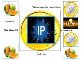 Wetenschappelijk Monetization

Valorisatie

Maatschappelijk

Economisch

Onderwijs

 