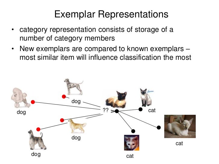 Concepts And Categories ppt concepts-and-categories-ppt