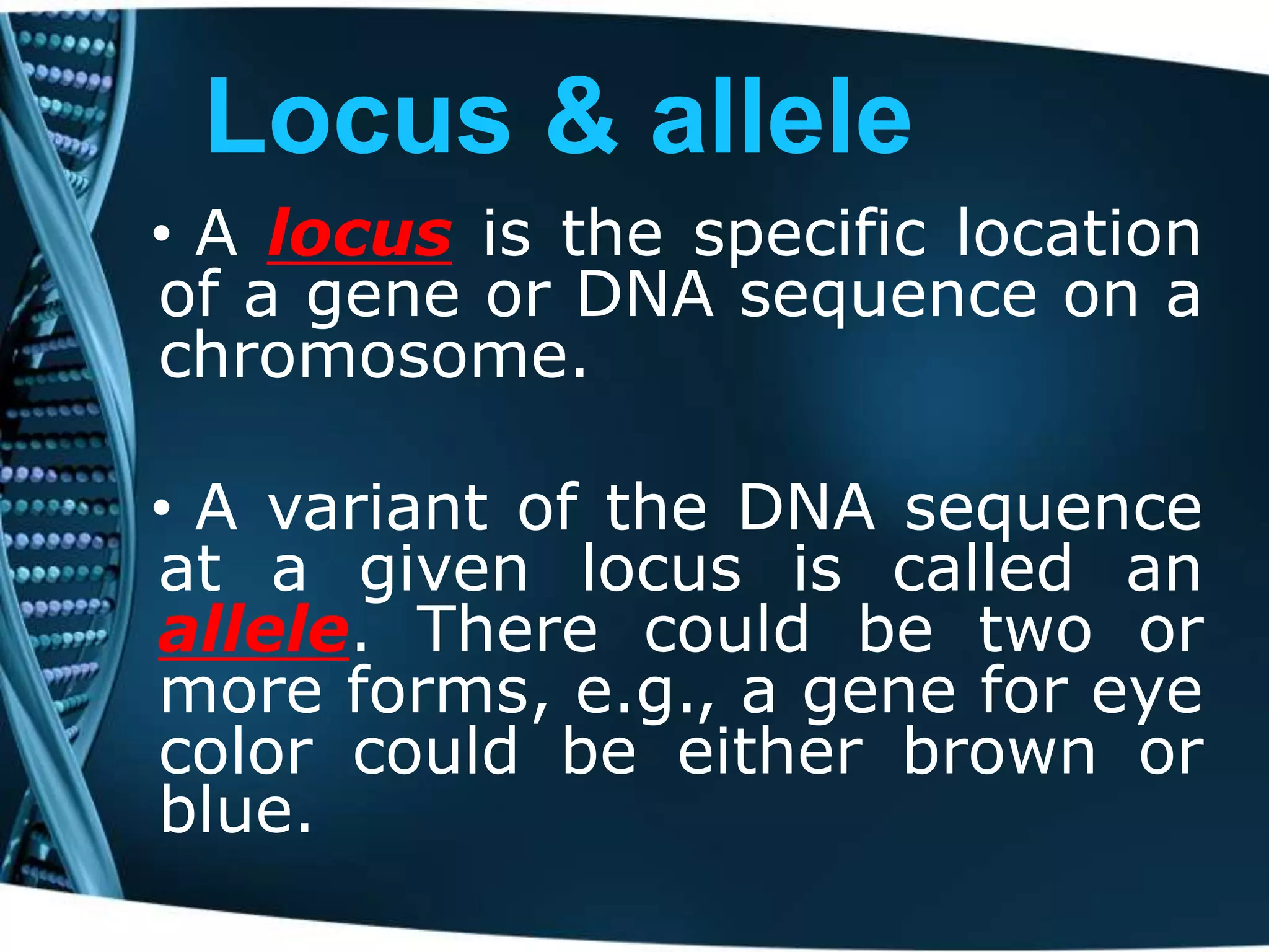 Locus & allele
• A locus is the specific location
of a gene or DNA sequence on a
chromosome.
• A variant of the DNA sequence
at a given locus is called an
allele. There could be two or
more forms, e.g., a gene for eye
color could be either brown or
blue.

 