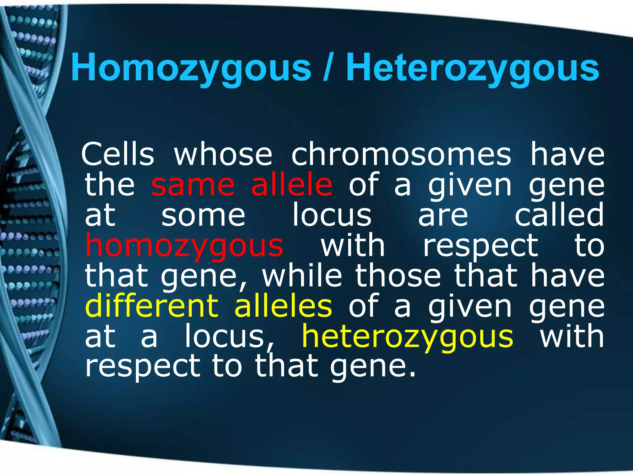 Homozygous / Heterozygous
Cells whose chromosomes have
the same allele of a given gene
at some locus are called
homozygous with respect to
that gene, while those that have
different alleles of a given gene
at a locus, heterozygous with
respect to that gene.

 