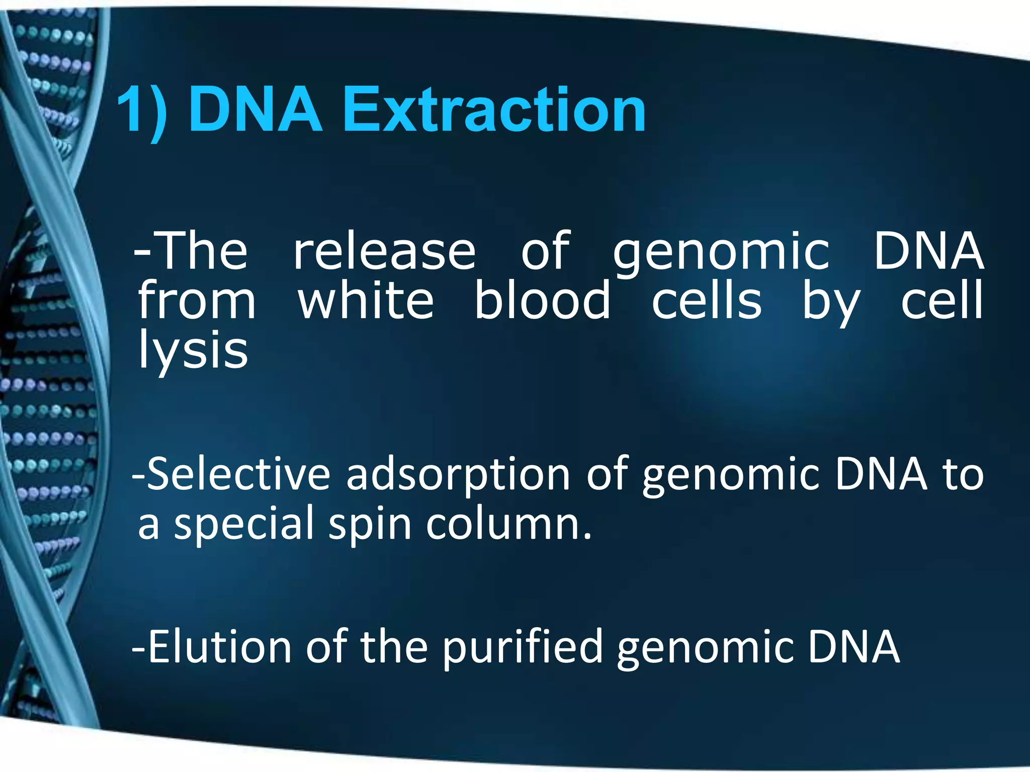1) DNA Extraction
-The release of genomic DNA
from white blood cells by cell
lysis
-Selective adsorption of genomic DNA to
a special spin column.
-Elution of the purified genomic DNA

 