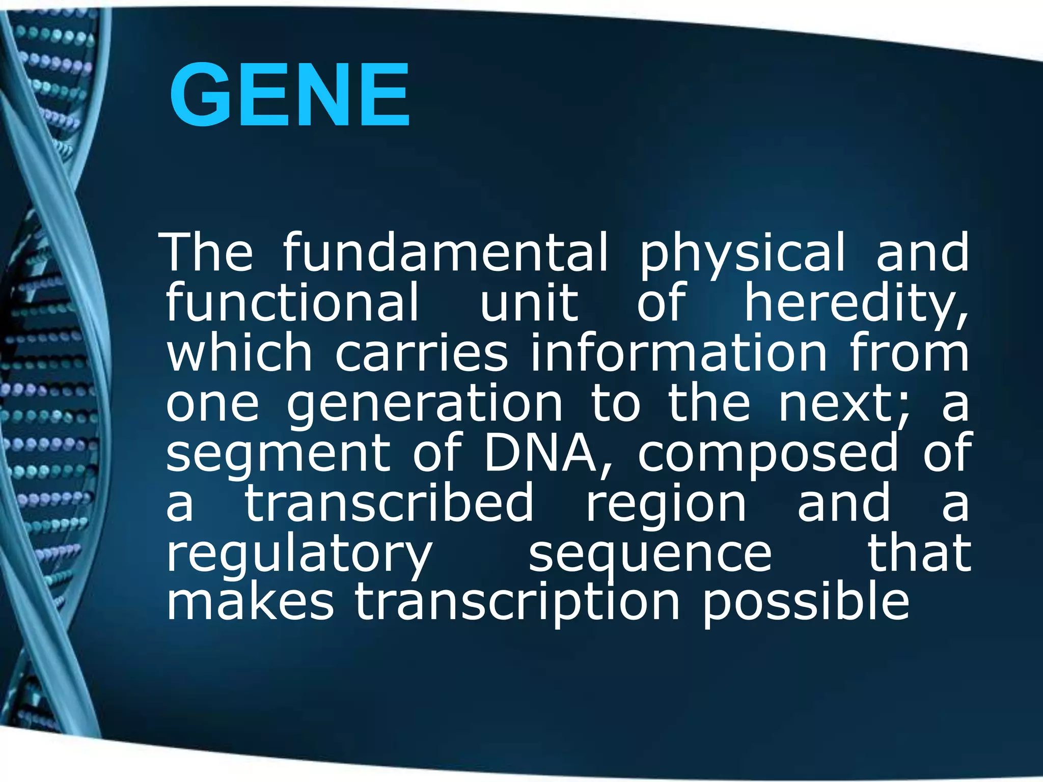 GENE
The fundamental physical and
functional unit of heredity,
which carries information from
one generation to the next; a
segment of DNA, composed of
a transcribed region and a
regulatory
sequence
that
makes transcription possible

 