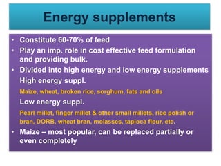 Energy supplements
• Constitute 60-70% of feed
• Play an imp. role in cost effective feed formulation
and providing bulk.
• Divided into high energy and low energy supplements
High energy suppl.
Maize, wheat, broken rice, sorghum, fats and oils
Low energy suppl.
Pearl millet, finger millet & other small millets, rice polish or
bran, DORB, wheat bran, molasses, tapioca flour, etc.
• Maize – most popular, can be replaced partially or
even completely
 