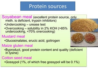 Soyabean meal (excellent protein source, only
meth. is deficient, trypsin inhibitors)
•Undercooking – urease test
•Overcooking – solubility in 2% KOH (>85%
undercooking, <70% overcooking)
Mustard meal
•Glucosinalates, erucic acid, goitrogen
Maize gluten meal
•Byproduct, good protein content and quality (deficient
in lysine)
Cotton seed meal
•Gossypol (1%, of which free gossypol will be 0.1%)
Protein sources
 