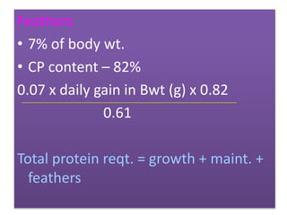 Feathers
• 7% of body wt.
• CP content – 82%
0.07 x daily gain in Bwt (g) x 0.82
0.61
Total protein reqt. = growth + maint. +
feathers
 