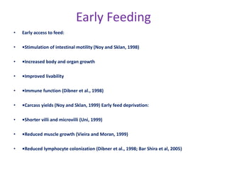 Early Feeding
• Early access to feed:
• •Stimulation of intestinal motility (Noy and Sklan, 1998)
• •Increased body and organ growth
• •Improved livability
• •Immune function (Dibner et al., 1998)
• •Carcass yields (Noy and Sklan, 1999) Early feed deprivation:
• •Shorter villi and microvilli (Uni, 1999)
• •Reduced muscle growth (Vieira and Moran, 1999)
• •Reduced lymphocyte colonization (Dibner et al., 1998; Bar Shira et al, 2005)
 