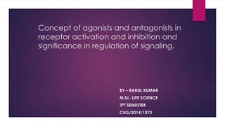 Concept of agonists and antagonists in
receptor activation and inhibition and
significance in regulation of signaling.
BY – RAHUL KUMAR
M.Sc. LIFE SCIENCE
3RD SEMESTER
CUG/2014/1073
 