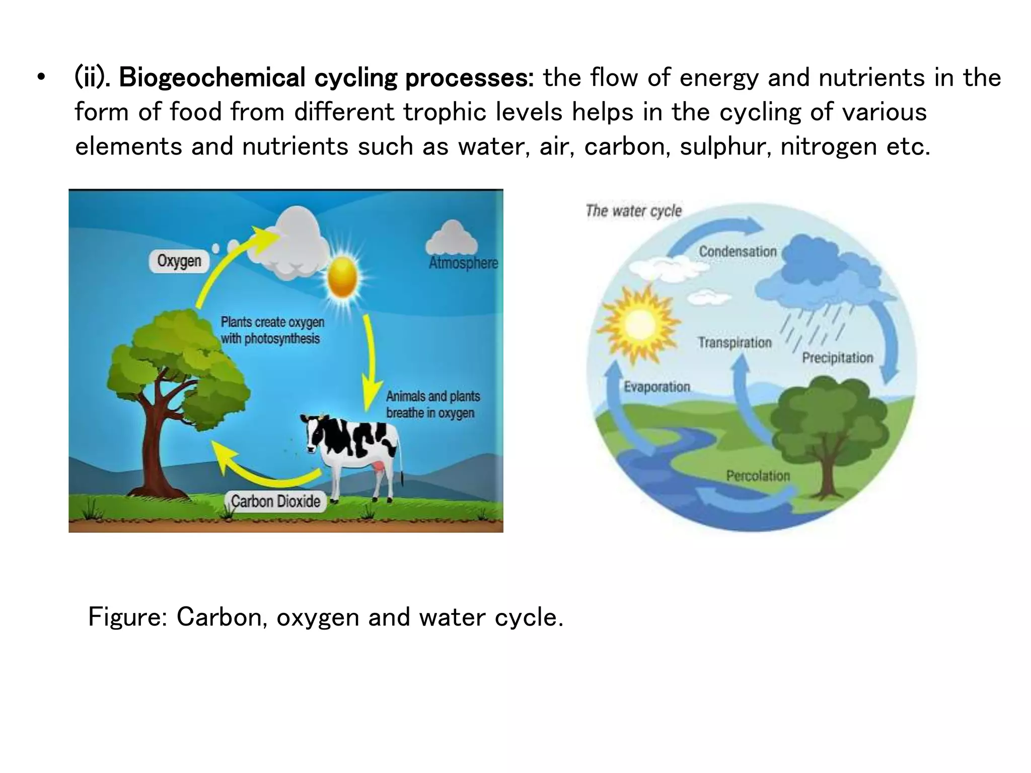 • (ii). Biogeochemical cycling processes: the flow of energy and nutrients in the
form of food from different trophic levels helps in the cycling of various
elements and nutrients such as water, air, carbon, sulphur, nitrogen etc.
Figure: Carbon, oxygen and water cycle.
 