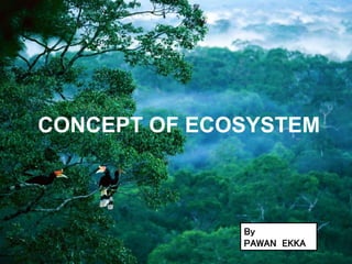 CONCEPT OF ECOSYSTEM
By
PAWAN EKKA
 