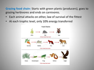 Grazing food chain: Starts with green plants (producers), goes to
grazing herbivores and ends on carnivores.
• Each animal attacks on other, law of survival of the fittest
• At each trophic level, only 10% energy transferred
 