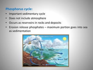 Phosphorus cycle:
• Important sedimentary cycle
• Does not include atmosphere
• Occurs as reservoirs in rocks and deposits
• Erosion release phosphates – maximum portion goes into sea
as sedimentation
 