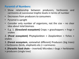Pyramid of Numbers:
• Show relationship between producers, herbivores and
carnivores at successive trophic levels in terms of number
• Decreases from producers to consumers
• Pyramid is upright
• Consider only number of organisms, not the size – no clear
idea about total biomass
• E.g. 1. (Grassland ecosystem) Crops > grasshoppers > frogs >
snakes
2. (Pond ecosystem) Phytoplankton > Zooplankton > fishes >
snakes
3. (Forest ecosystem, somewhat different) Producers (big trees)
< herbivores (birds, elephants etc.) > carnivores
4. (Parasitic food chain – inverted) Microbes > bugs > herbivores
> producers (single tree)
 