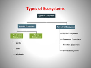 Types of Ecosystems
 