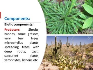 Components:
Biotic components:
Producers: Shrubs,
bushes, some grasses,
very few trees,
microphyllus plants,
spreading trees with
deep roots, cacti,
succulent plants,
xerophytes, lichens etc.
 