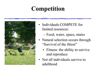Competition
• Individuals COMPETE for
limited resources:
– Food, water, space, mates
• Natural selection occurs through
“Survival of the fittest”
• Fitness: the ability to survive
and reproduce
• Not all individuals survive to
adulthood
 